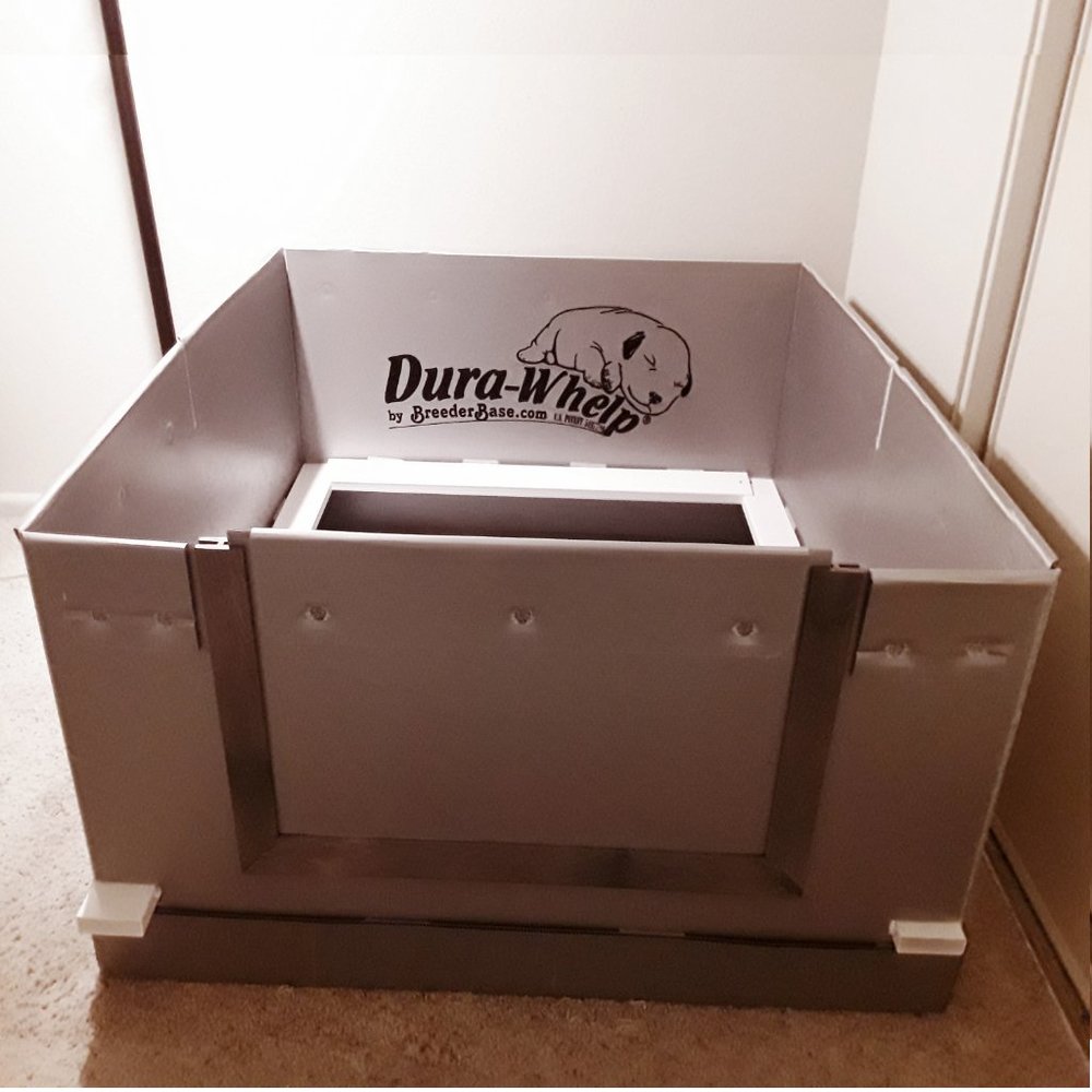 Dura-Whelp Box